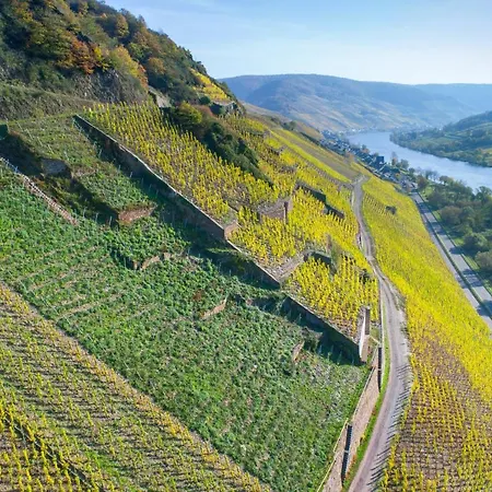 Haus In Spay An Der Mosel Mit Sauna Zell an der Mosel