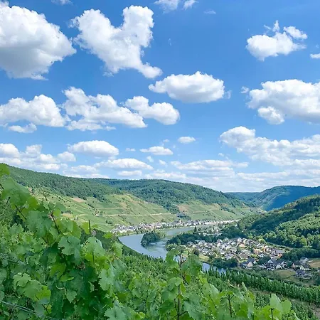 Haus In Spay An Der Mosel Mit Sauna Zell