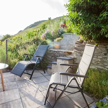 Apartment Haus In Spay An Der Mosel Mit Sauna Zell