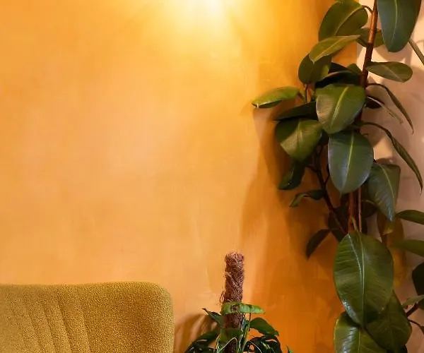 Haus In Spay An Der Mosel Mit Sauna Apartman