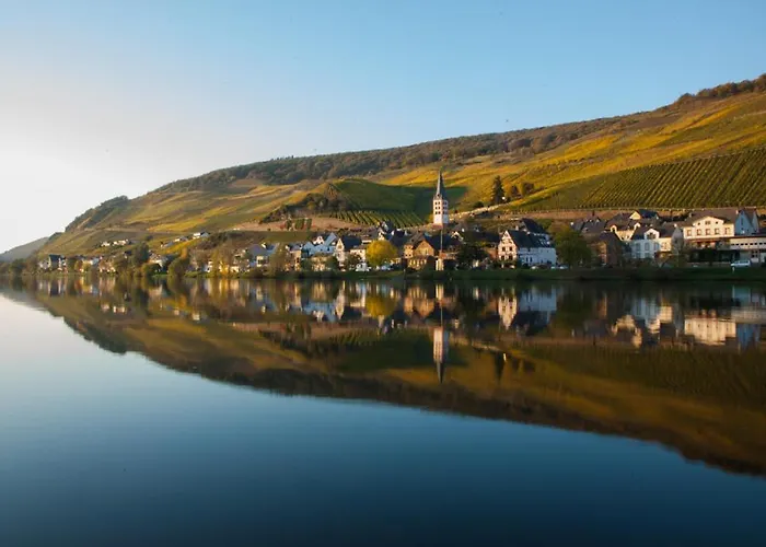 Haus In Spay An Der Mosel Mit Sauna *