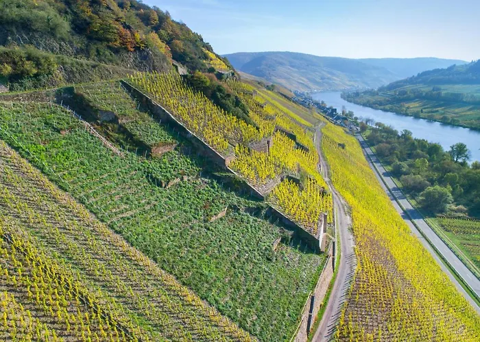Haus In Spay An Der Mosel Mit Sauna Zell an der Mosel
