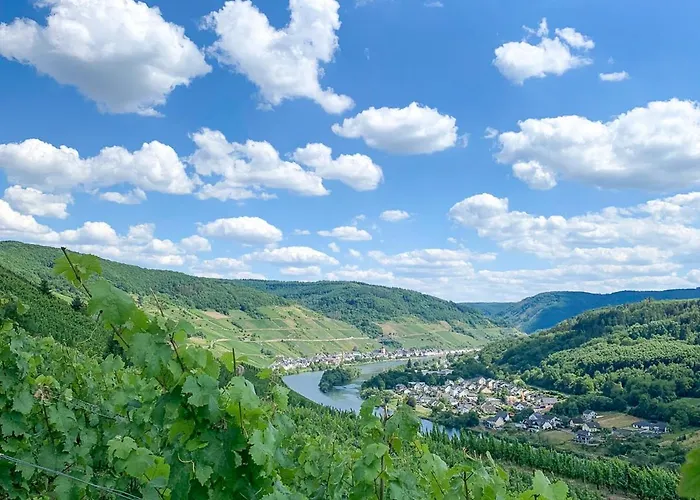Haus In Spay An Der Mosel Mit Sauna Zell an der Mosel